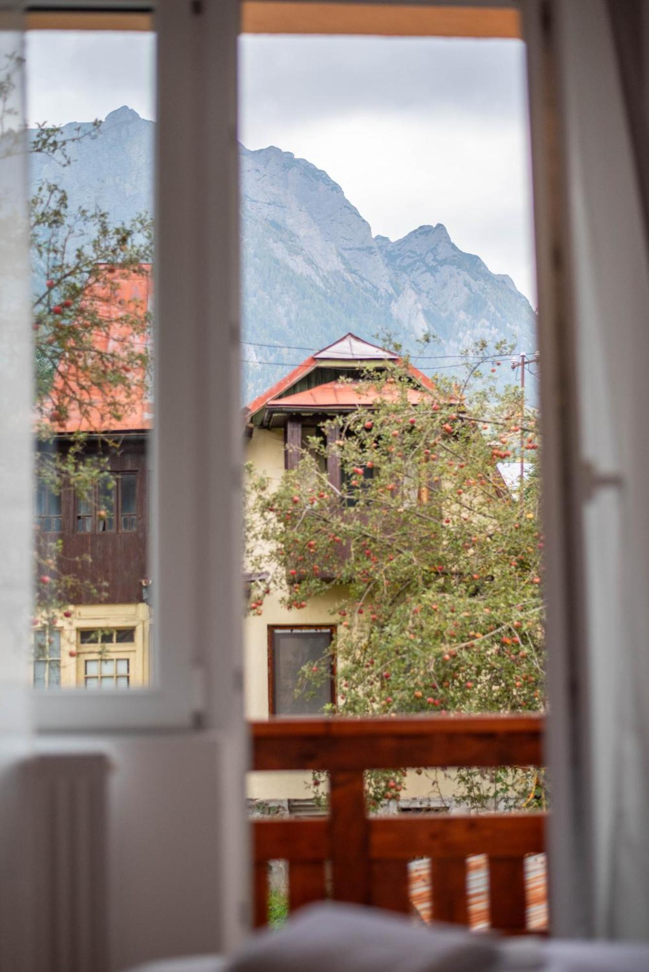 Casa Bucegi Buşteni Buitenkant foto